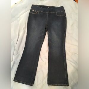 DC2 by Diane Gilman Women's Boot Cut Dark Wash Flat Front Stretch Denim Jeans 1X